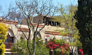 Moroccan House in Pretoria