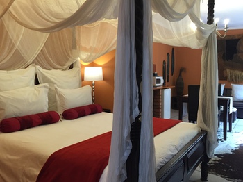 Dinkwe lodge & Guest House in Pretoria