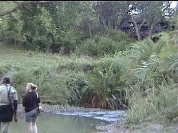 Munyweneni Bush Lodge in Hluhluwe
