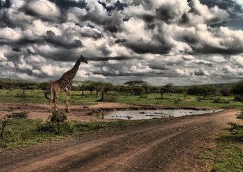 Muntulu Bush Lodge in Hluhluwe