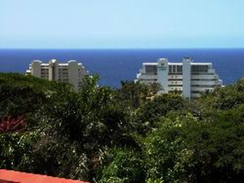 Umbrella Tree House in Umhlanga Rocks