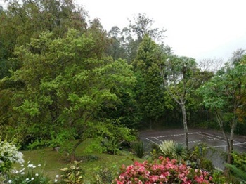 Africas Eden in Pietermaritzburg