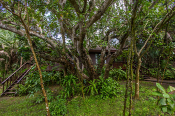 Imvubu Lodge in Richards Bay