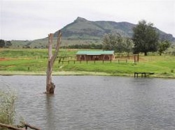 The Whistling Duck in Wakkerstroom