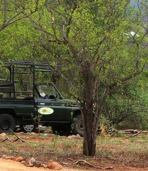 Shikwari Game Lodge in Hoedspruit