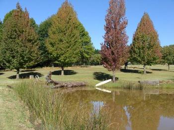 Berghaven Holiday Cottages in Champagne Valley