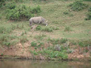 Hennie's Rest in Malelane