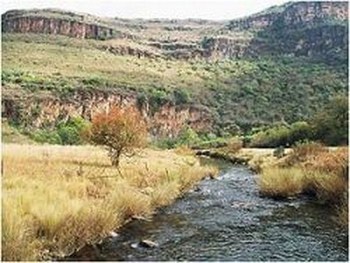 Thaba Tsweni Lodge & Safaris in Graskop