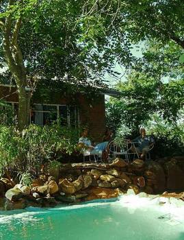 Gecko Backpackers in Hazyview