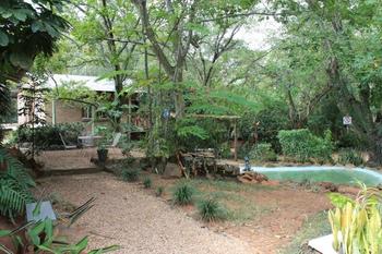 Gecko Backpackers in Hazyview