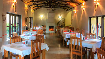 Gecko Lodge in Hazyview