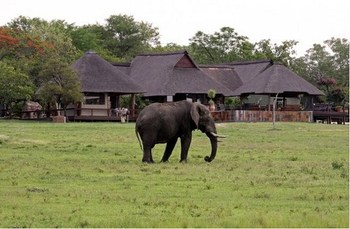 Nkorho Bush Lodge in Sabi Sand Game Reserve