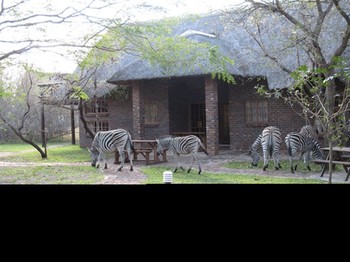 Phumula Kruger Lodge and Safaris in Marloth Park