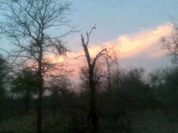 Phumula Kruger Lodge and Safaris in Marloth Park