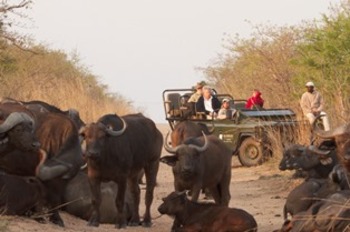 Kambaku Lodge in Kruger National Park