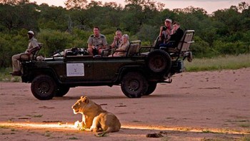 Amani African Spa at Simbambili Game Lodge in Kruger National Park