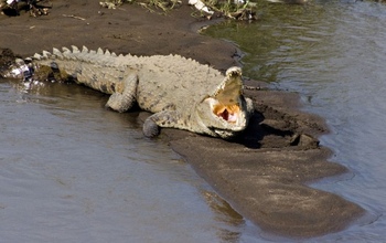 Kruger Park Retreat in Kruger National Park