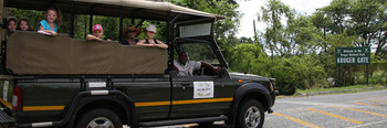 Sabie River Bush Lodge in Hazyview