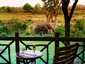 Protea Hotel by Marriott Kruger Gate in Skukuza