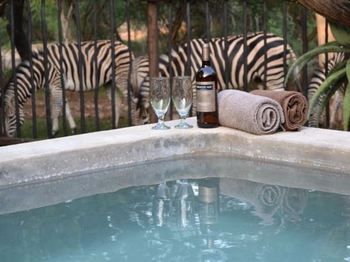 Getaway Bush in Marloth Park