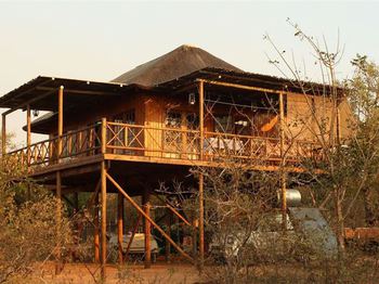 2137 Mamba in Marloth Park