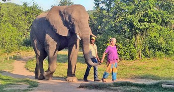 Mo Rocca Kruger in Marloth Park