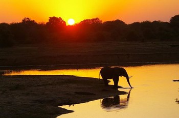 Mo Rocca Kruger in Marloth Park