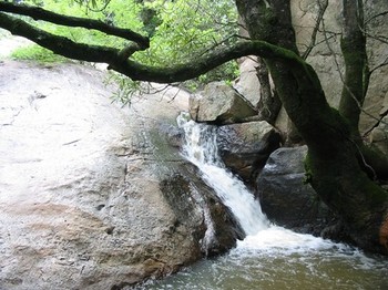 Leaves Luxury Lodge & Spa in Nelspruit