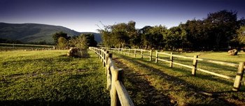 Caracal Lodge in Nelspruit