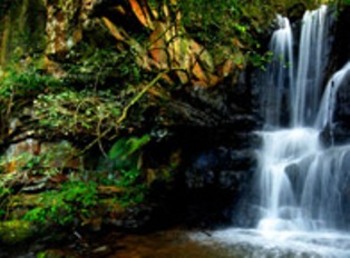 Caracal Lodge in Nelspruit