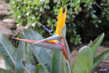 Lost Trail B&B in Nelspruit