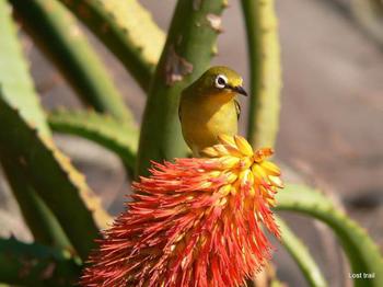 Lost Trail B&B in Nelspruit