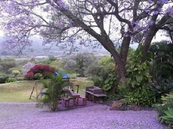 LoerieRoep in Nelspruit