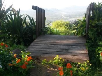 LoerieRoep in Nelspruit