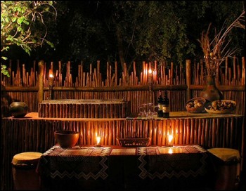 Bushwise Safaris in Kruger National Park