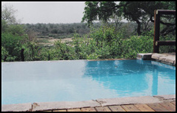 Bushwise Safaris in Kruger National Park