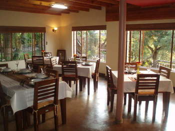 Eco-Eden Bush Lodge in Nelspruit