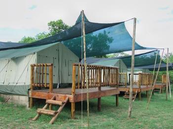 Camp Timbavi in Hazyview