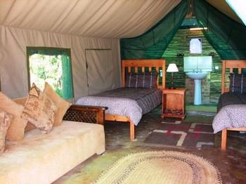 Mac Mac Forest Retreat in Sabie