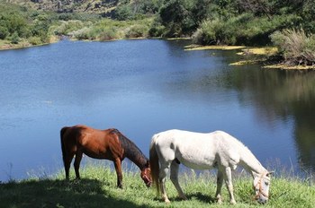 Olifants River Lodge in Middelburg