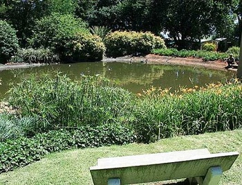 Drinkwater Guest Farm in Ermelo