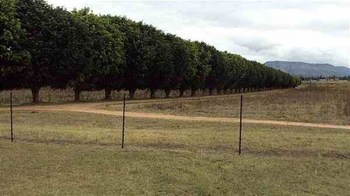 Olive Grove Country Lodge & Restaurant in Grootvlei