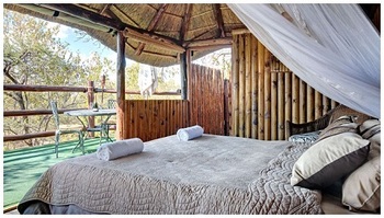 Bushfellows Game Lodge in Groblersdal