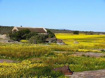 Papkuilsfontein Guest Farm in Nieuwoudtville