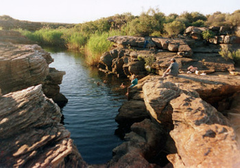 Papkuilsfontein Guest Farm in Nieuwoudtville