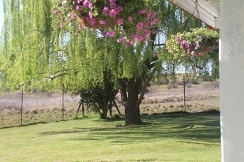 Elandsvoetpad Guest House in Nieuwoudtville