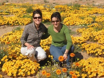 Naries Namakwa Retreat in Springbok
