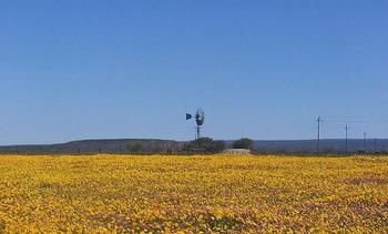 Marceilles Guest Farm in Victoria West