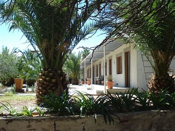 Die Blou Nartjie in Calvinia