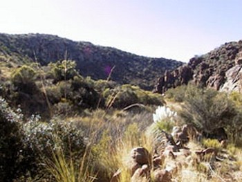 Rooipoort Game Guest And Conference Farm in Colesberg